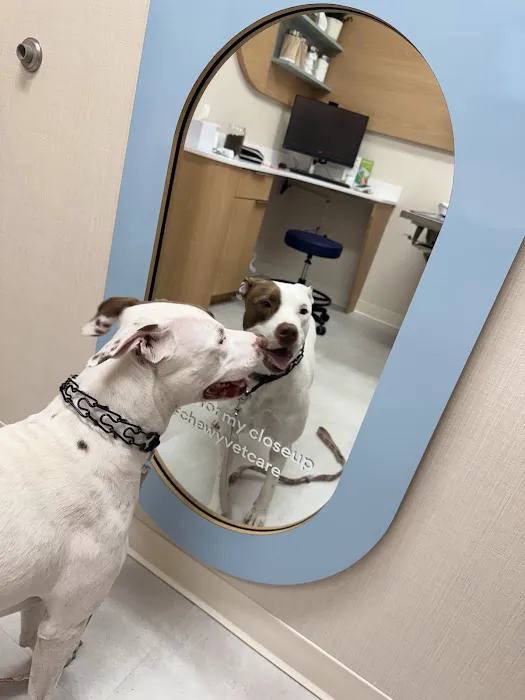 Chewy Vet Care McKinney Picture 2