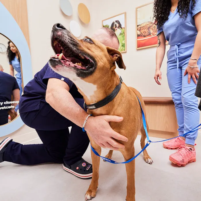 Chewy Vet Care McKinney Picture 10