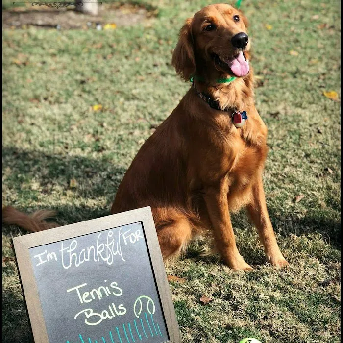 Prosper Trail Animal Hospital Picture 3