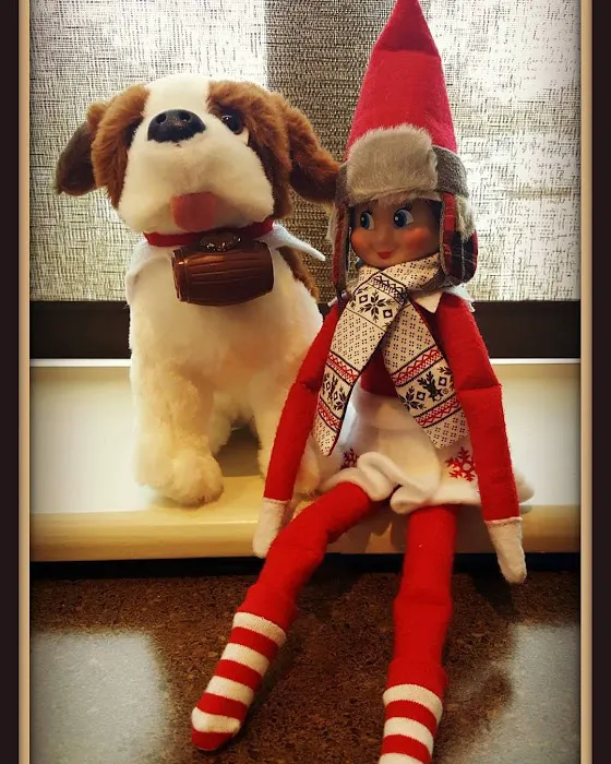 Prosper Trail Animal Hospital Picture 10