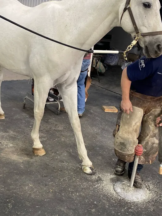 Innovative Equine Podiatry and Veterinary Services, PLLC Picture 2