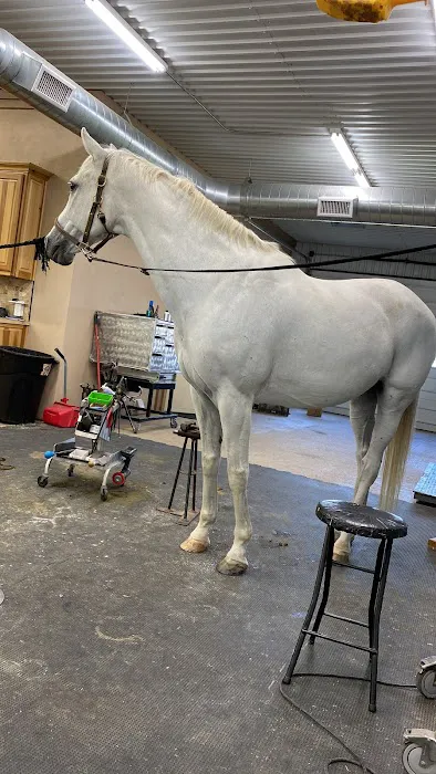 Innovative Equine Podiatry and Veterinary Services, PLLC Picture 1
