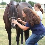 Equanimity Equine Internal Medicine