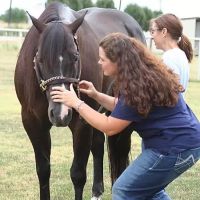 Equanimity Equine Internal Medicine ico