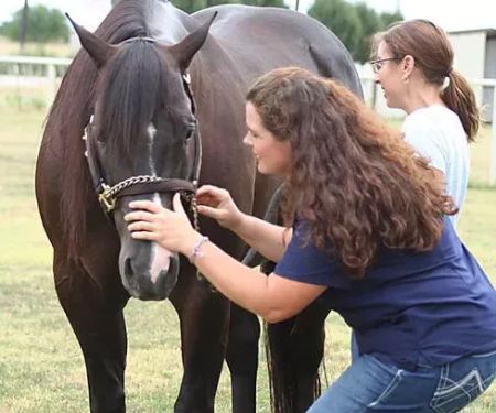 Equanimity Equine Internal Medicine