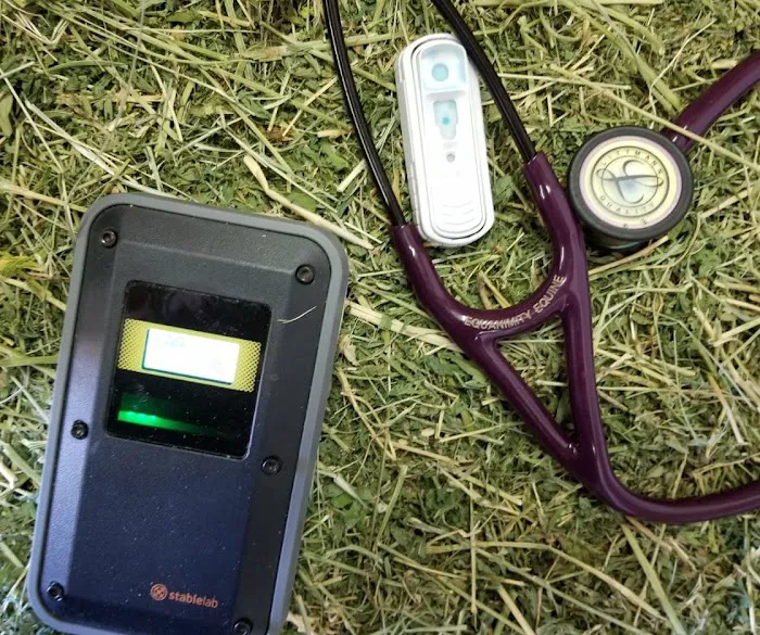 Equanimity Equine Internal Medicine Picture 2