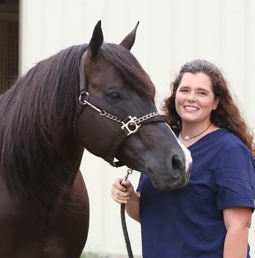 Equanimity Equine Internal Medicine Picture 7