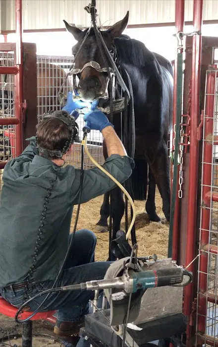 Three Oaks Equine Clinic Picture 2