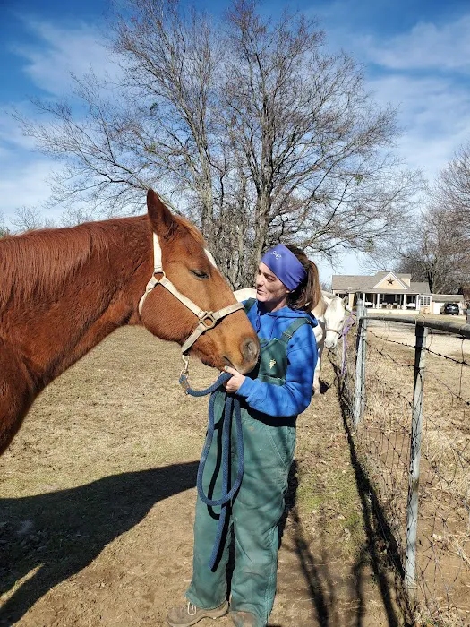 Crown 3 Equine Picture 5