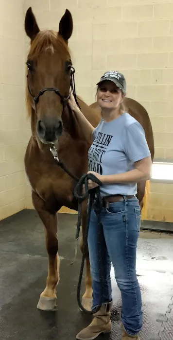 Premier Equine Veterinary Services Picture 1