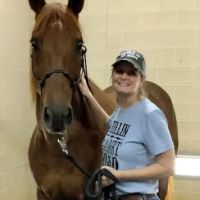 Premier Equine Veterinary Services ico