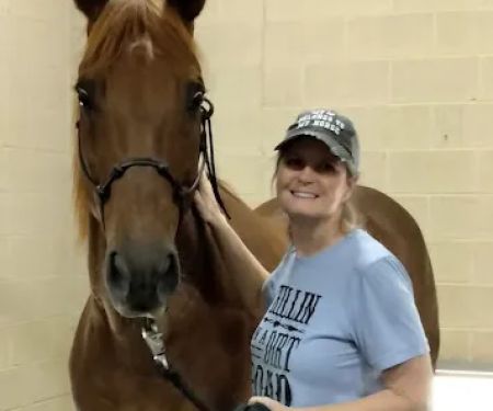 Premier Equine Veterinary Services
