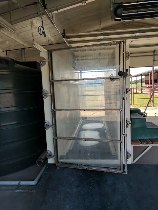 Equine Sports Medicine & Surgery Picture 3