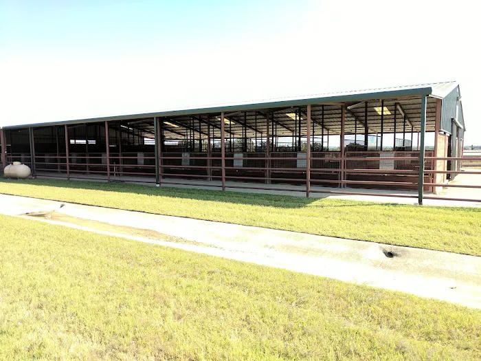 Equine Sports Medicine & Surgery Picture 5