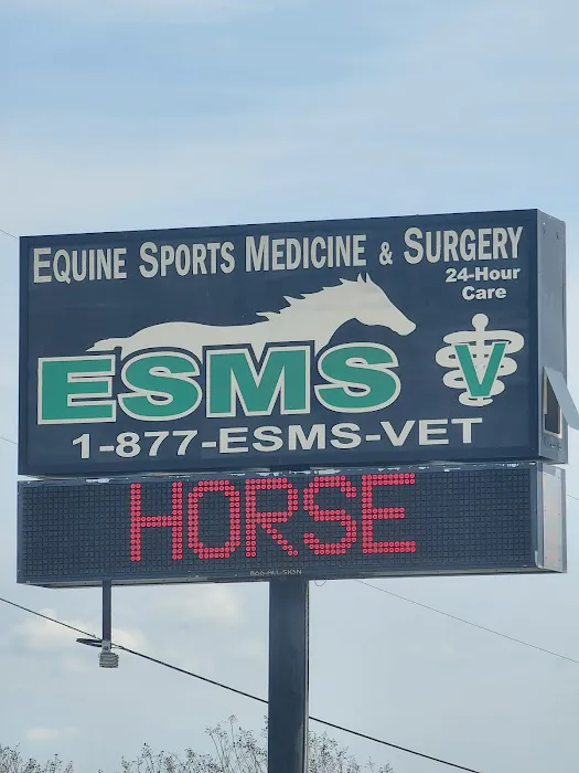 Equine Sports Medicine & Surgery Picture 7