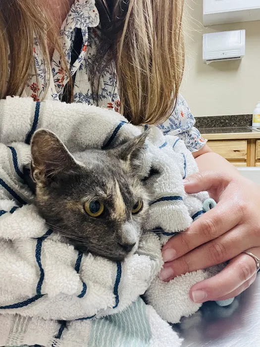Ables Animal Hospital Picture 2