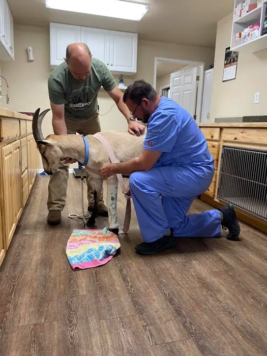 Ables Animal Hospital Picture 4