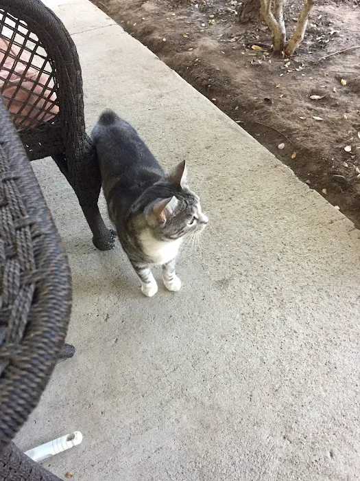 Plumcreek Animal Clinic Picture 8
