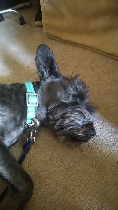 Plumcreek Animal Clinic Picture 9