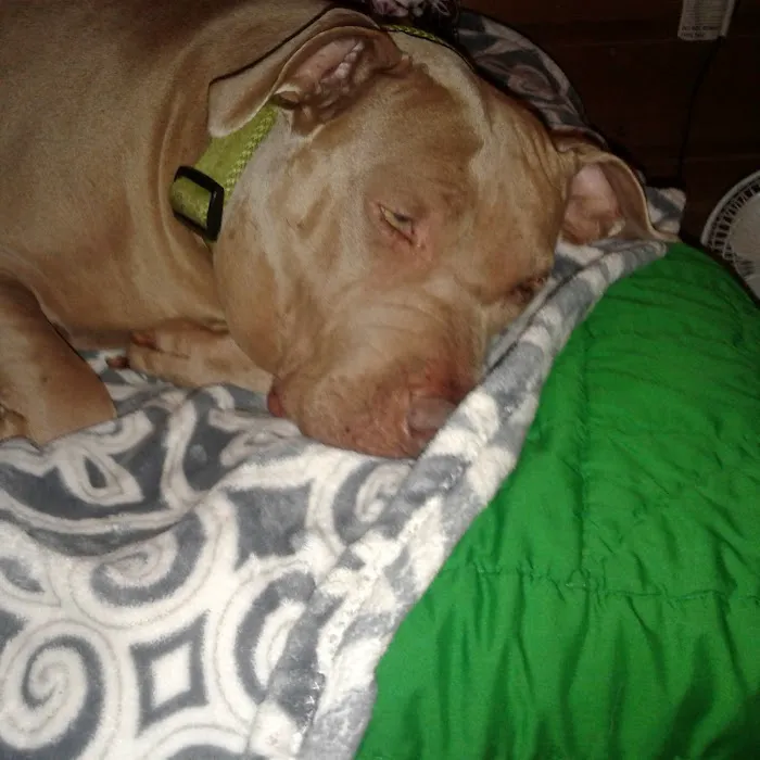 Plumcreek Animal Clinic Picture 10