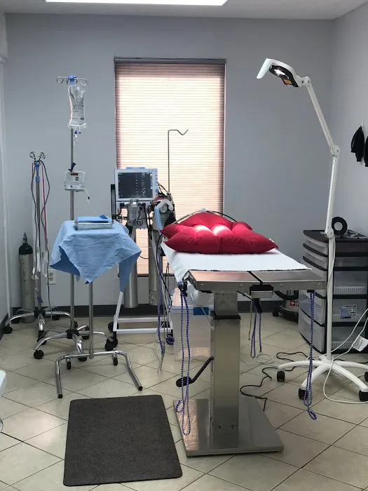 Palo Pinto Veterinary Clinic Picture 4