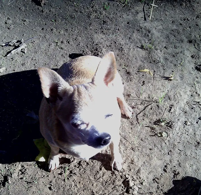 Brazos Animal Hospital Picture 9
