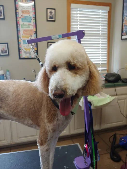 Brazos Animal Hospital Picture 10