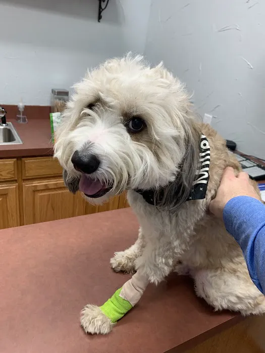 Brazos Animal Hospital Picture 8