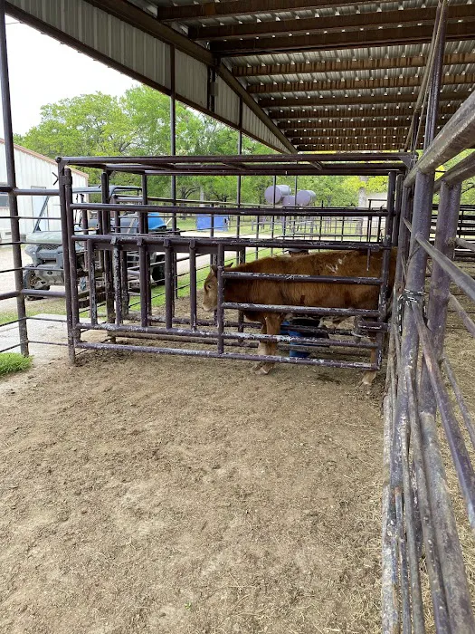 Millsap Veterinary Clinic Picture 5