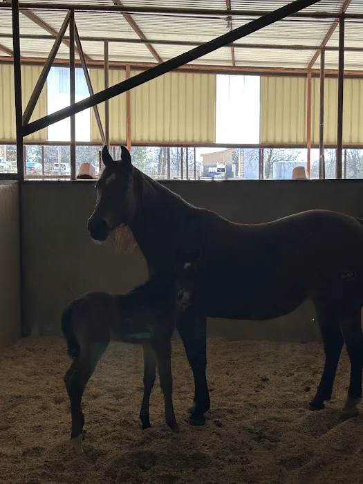 Reata Equine Hospital Picture 1