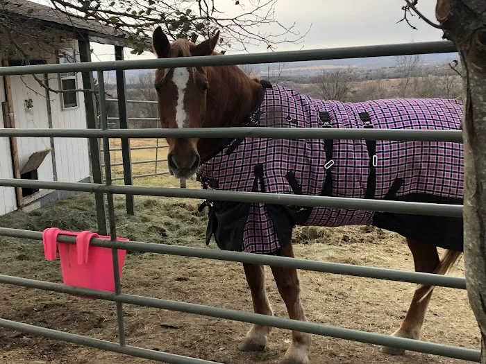 Reata Equine Hospital Picture 5