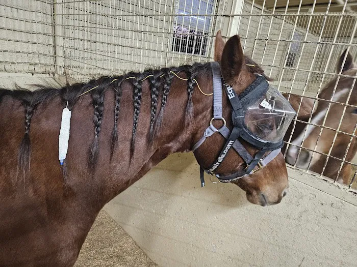 Reata Equine Hospital Picture 6