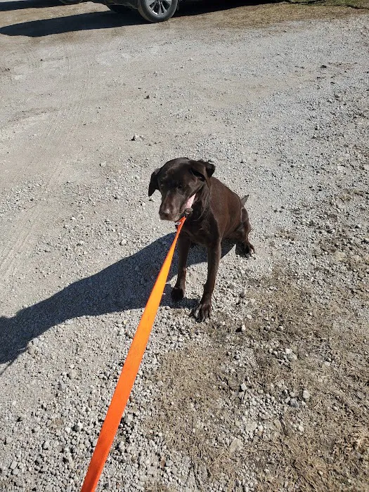Dr. Meg Pope's Veterinary Services Picture 4