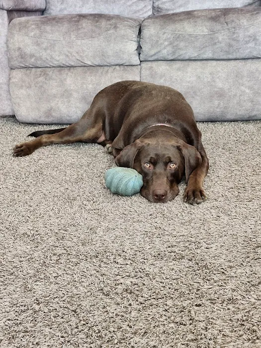 Wise County Animal Clinic Inc Picture 3