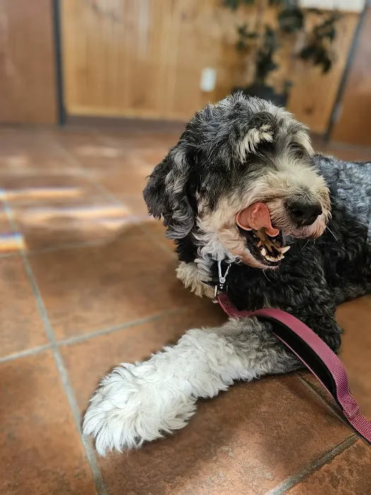 Pet Health Center LLC Picture 2
