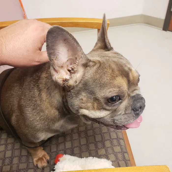 Pet Health Center LLC Picture 7