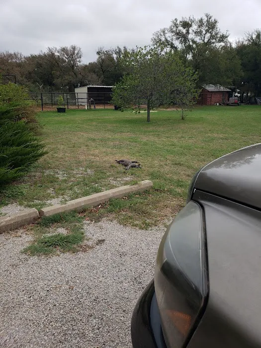South FM 113 Veterinary Services Picture 9