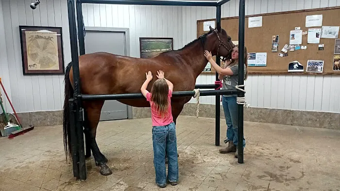 Brazos Valley Equine Hospital - Waco Picture 3