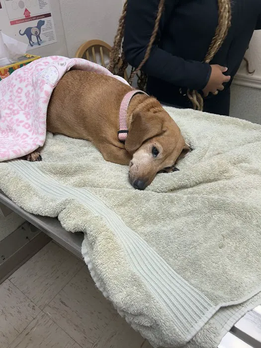 Eastside Animal Hospital Picture 2