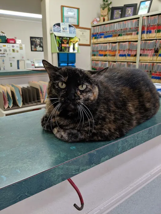 Eastside Animal Hospital Picture 9