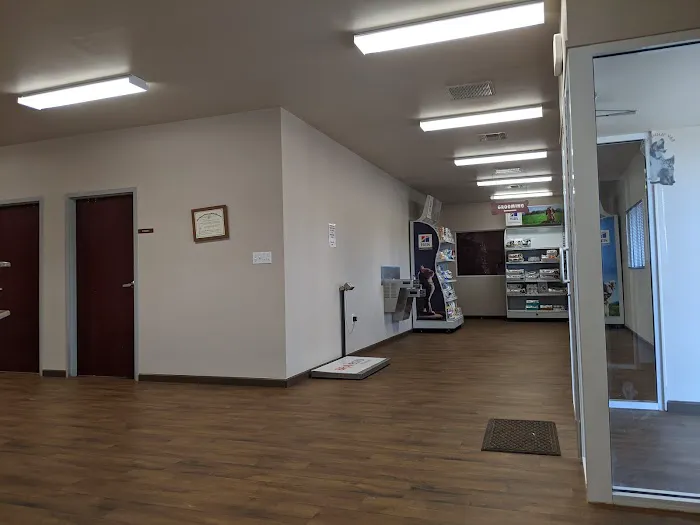 Texas Animal Medical Center Picture 9