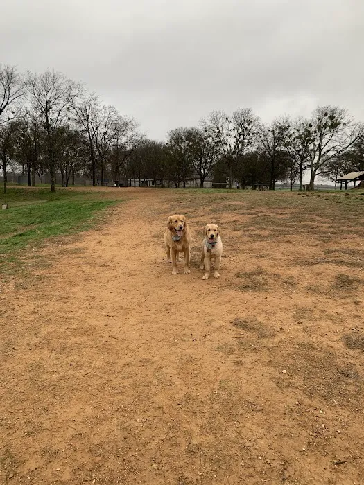 Texas Animal Medical Center Picture 8