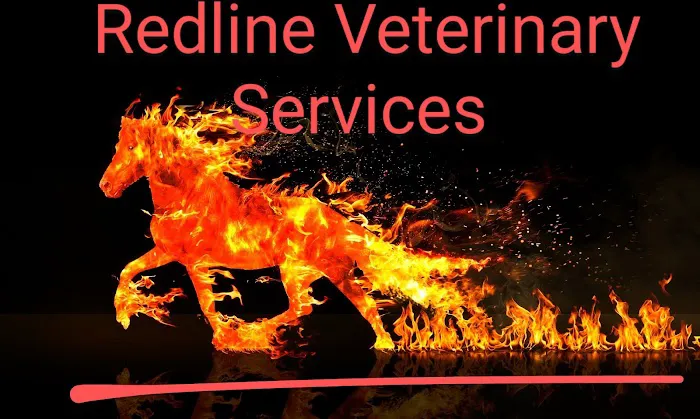 Redline Veterinary Services PLLC Picture 2