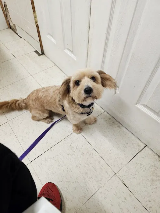 La Vega Veterinary Clinic Picture 1