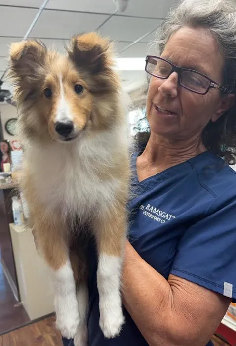 Ramsgate Veterinary Clinic Picture 5