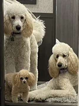 Bosque County Veterinary Clinic Picture 4