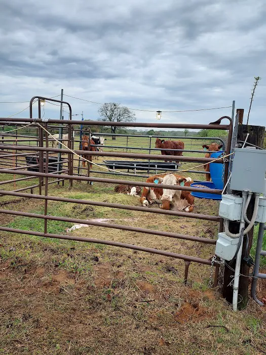 Bosque County Veterinary Clinic Picture 10