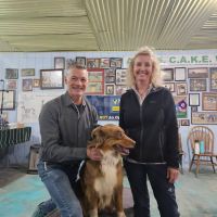 Million Dollar Animal Chiropractic Coaching with Dr. Amy ico