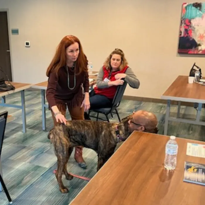 Million Dollar Animal Chiropractic Coaching with Dr. Amy Picture 7