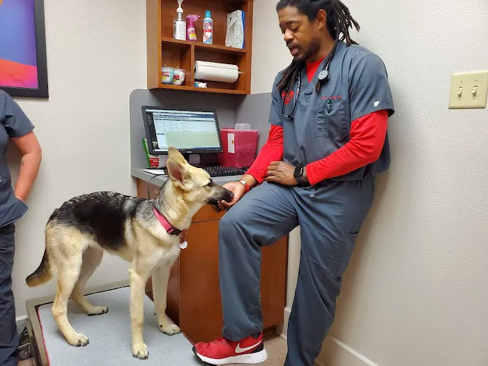 The Pet Hospital of Granbury Picture 5